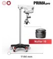 NuVar 10.jpg