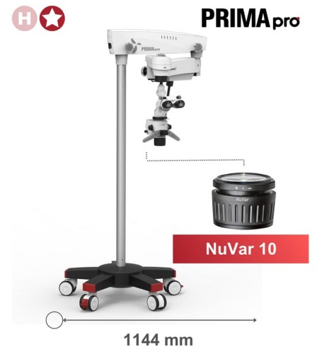 NuVar 10.jpg