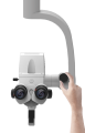 Swift 5.png