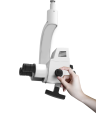 Swift 2.png