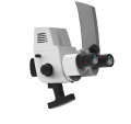 swift on ceiling CMO.png